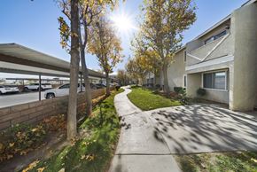 Palmdale apartment for rent - A sunny day in a residential area with a sidewalk and trees.