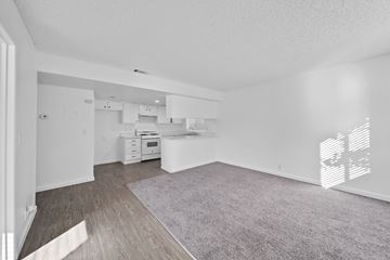 Hemet apartment for rent - A spacious living room with a grey carpet and wooden flooring.