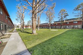 Lancaster apartment for rent - A sunny day at a grassy courtyard with trees and apartment buildings.