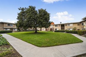 Cypress apartment for rent - A tree in a grassy area in front of apartment buildings.