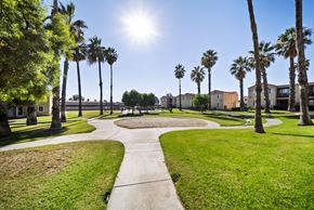 Rialto apartment for rent - A sunny day in a park with palm trees and a walking path.