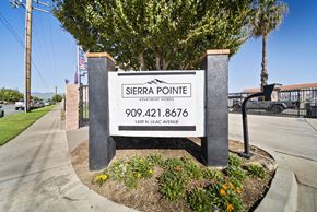Rialto apartment for rent - A sign for Sierra Pointe Apartment Homes stands in front of a tree.