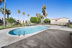 Rialto apartment for rent - A swimming pool surrounded by palm trees and lounge chairs.