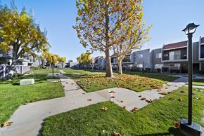 Palmdale apartment for rent - A tree with yellow leaves is in the middle of a grassy area.