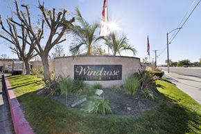 Lancaster apartment for rent - A sign that says Windrose is in front of a tree.