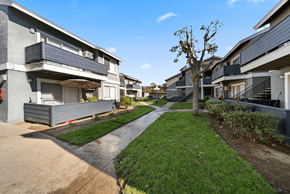 Redlands apartment for rent - A tree stands in the middle of a grassy area between two apartment buildings.