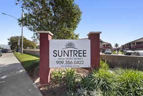 Fontana apartment for rent - A sign for Suntree Apartment Homes stands in front of a building.