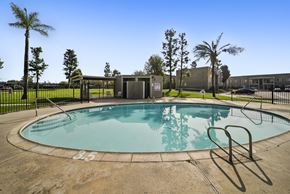 San Bernardino apartment for rent - A round swimming pool with the number 35 written on it.