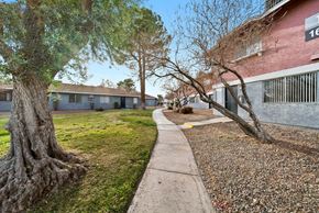 Las Vegas apartment for rent - A tree with a thick trunk and a house number 16 in the background.