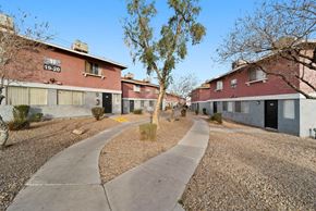 Las Vegas apartment for rent - A tree in the middle of a gravel area with a concrete walkway and apartment buildings in the background.