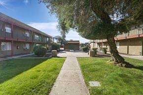 Phoenix apartment for rent - A tree in a grassy area in front of apartment buildings.