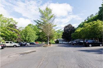 Taymil holly house surface parking