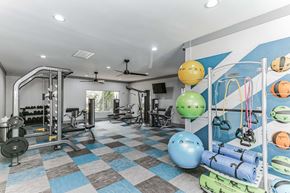 Sandy Springs apartment for rent - The Gym at The Atlantic North Springs, Dunwoody, GA, 30350.