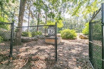 Dog park