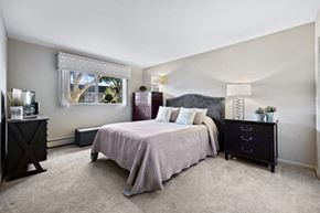Wheaton apartment for rent - Autumn Mist Bedroom