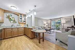 Wheaton apartment for rent - Autumn Mist Kitchen
