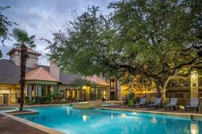 Austin apartment for rent - A large tree is next to a pool.