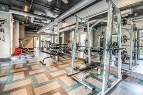 Atlanta apartment for rent - A gym with a variety of equipment including a squat rack and a bench press.