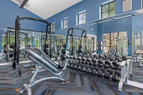 Austin apartment for rent - A gym with a variety of equipment including a leg press machine.