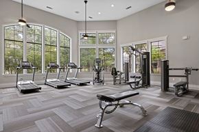 Austin apartment for rent - A gym with treadmills, weights, and exercise equipment.