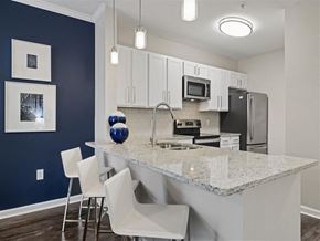 Atlanta apartment for rent - a kitchen with a marble counter top