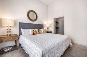 Austin apartment for rent - a bedroom with a large bed and a mirror