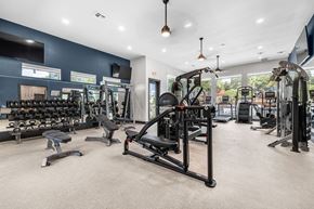 San Antonio apartment for rent - a gym with cardio equipment and weights at the enclave at woodbridge apartments in sugar land,