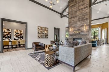 Frisco apartment for rent - A living room with a grey couch and a fireplace.