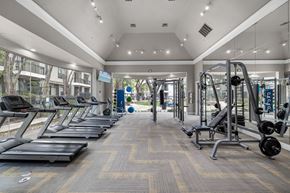 Richardson apartment for rent - A gym with treadmills, weights, and exercise equipment.