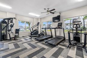 Flower Mound apartment for rent - the gym has plenty of cardio equipment and windows