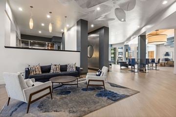 Lone Tree apartment for rent - A modern living room with a black couch and a grey rug.