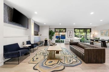 Fort Worth apartment for rent - A modern living room with a dark blue sofa and a patterned rug.
