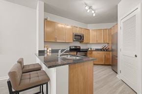 Fort Worth apartment for rent - Renovated Kitchen