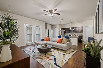 Austin apartment for rent - A living room with a grey couch and a rug.
