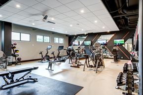 Kalamazoo apartment for rent - a gym with a variety of exercise machines and weights
