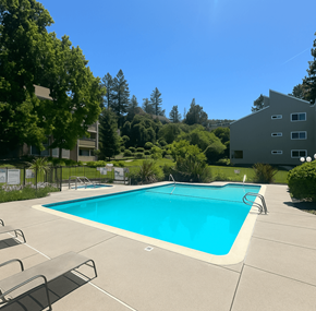 Novato apartment for rent - A swimming pool at Hamilton Woods, Novato California