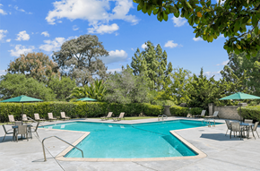 Novato apartment for rent - A swimming pool surrounded by trees and chairs.at Posada West, Novato, CA 94949