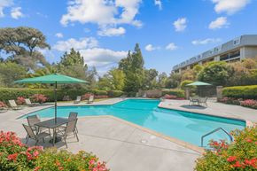 Novato apartment for rent - Pool With Relaxing Chairs at Posada East, California, 94949