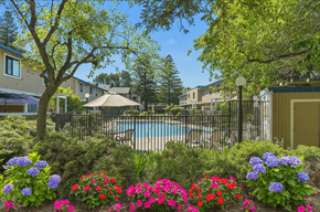 Novato apartment for rent - Secured Pool at Redwood Landing, Novato