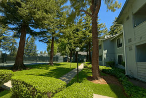 Rohnert Park apartment for rent - Lush Green Landscape at Vintage Pointe, Rohnert Park