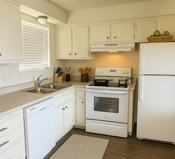Stove/oven