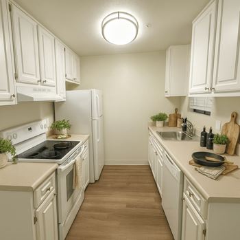 Dishwasher