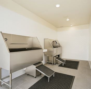 Dog grooming room
