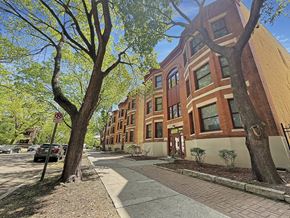 St. Paul apartment for rent - A tree with a no parking sign in front of a building.