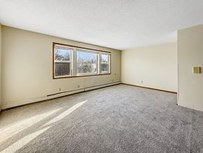 Minneapolis apartment for rent - A room with a grey carpet and a window.