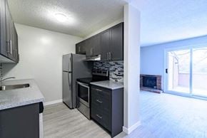 Winnipeg apartment for rent - kitchen/living room