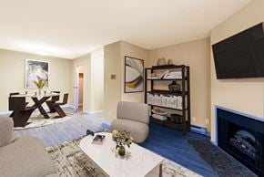 Winnipeg apartment for rent - Living Room