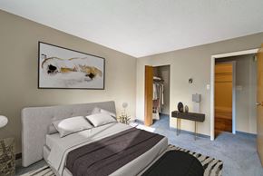 Winnipeg apartment for rent - Master Bedroom