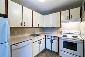 Winnipeg apartment for rent - kitchen