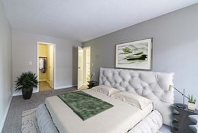 Winnipeg apartment for rent - Master Bedroom